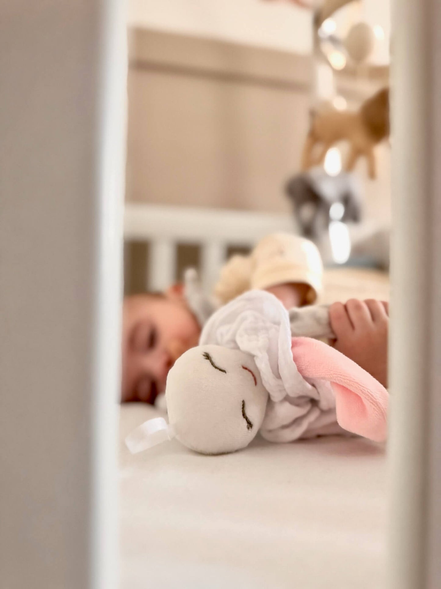 Pack Nonito el pulpito DouDou + Sensorial