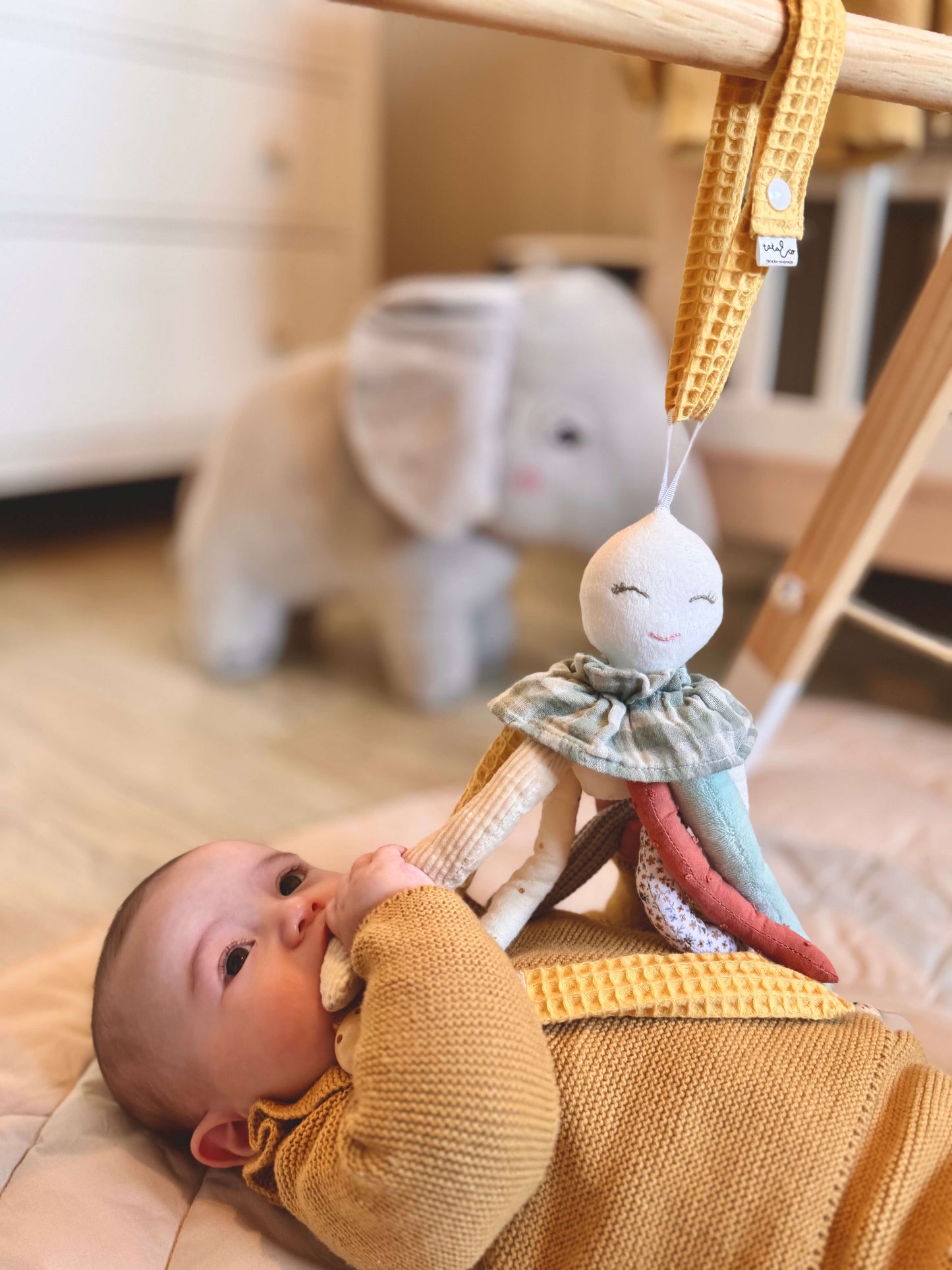 Nonito the Octopus Sensory Tentacles